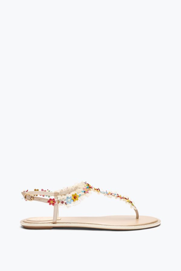 Jademodern.shopeed3067dd4 1