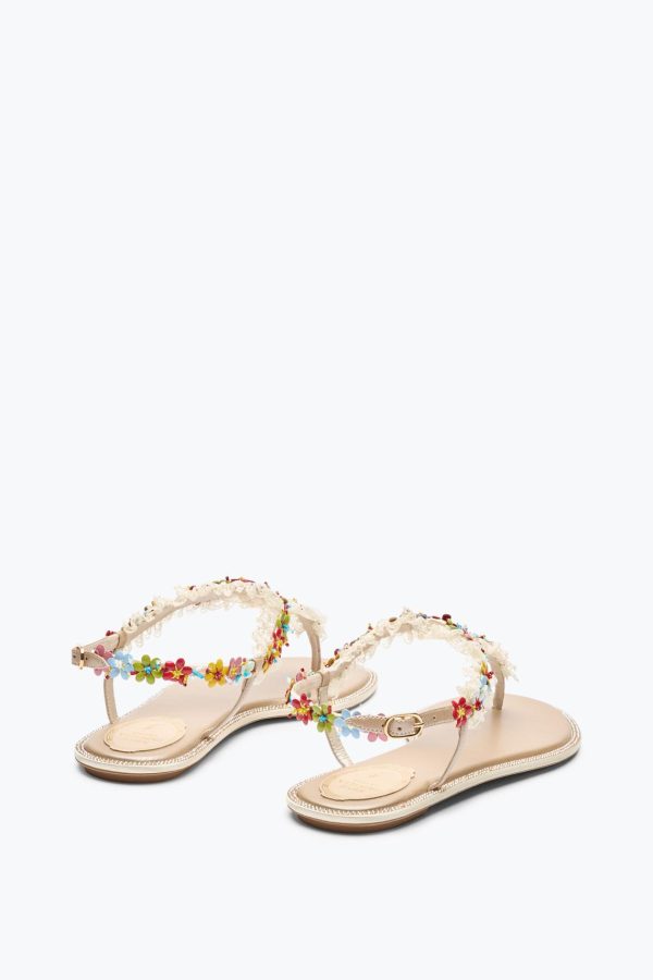 Jademodern.shopeed3067dd4 3