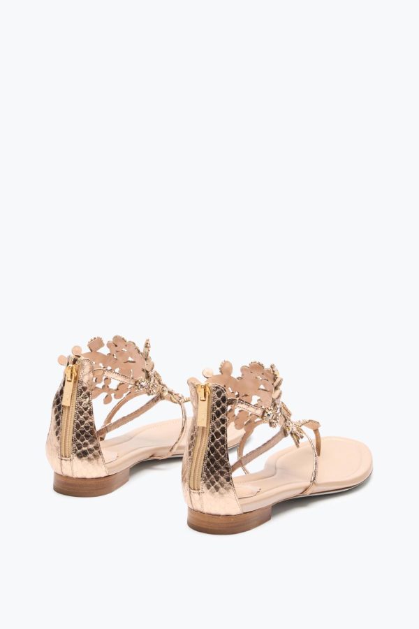 Jademodern.shopf7cfb1d0f2 3